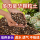Flower Master Succulent Nutritional Soil Special Granular Soil Succulent Soil Potted Planting Soil for Seedlings and Old Piles Breathable Soil Luxurious Succulent Soil 5Jin Jin is equal to 0.5kg, universal for seedlings.