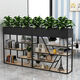 Fantasy iron partition shelf screen modern simple green plant flower stand office planter cafe locker A type 12*25*15