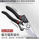 Qinran German craft steel branch shears, tree scissors, fruit tree shears, pruning scissors for household flowers, trees and grapes to prune branches Germany Main picture original German (thick branch shears) super fast + strength