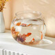 Round household transparent small fish tank desktop 4K ultra-clear desktop fish tank decoration and ornamental one-piece desktop ecological aquarium turtle tank goldfish tank round fish tank giant 24.5*26.5*29cm