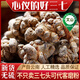 Jingqingyuan, Yunnan Wenshan Chun Sanqi Selection, Sanqi Head, Extra Class Authentic Tianqi Authentic Chunqi 20 Köpfe, 30 Köpfe, 10 Köpfe (8 Köpfe, 500 g) Sanqi King Selection, senden Sie die Ganze (bitte hinterlassen