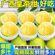 Guangdong Ying Guangxi Emperor Mandarin pure sweet fruit thin-skinned tangerine mandarin orange Wogong mandarin orange bursting juice is delicious and inexpensive fresh 5 Jin Jin equals 0.5 kg Selected fruit bursting sweet and juicy Net 4.5 Jin Jin equals 0.5 kg