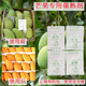 Special ripening agent for mango and banana, special ripening agent for jackfruit, tomato, avocado and kiwi 20 bags (0.6g/bag)