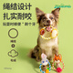 GiGwi Zootopia dog toys for puppies, teeth grinding, chewing, self-pleasure, boredom relief, pet supplies for small and medium-sized dogs