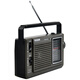 Tecsun R-304P portable pointer radio for the elderly full-band desktop portable plug-in semiconductor broadcast radio standard