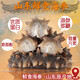 Shandong specialty Q-bomb fresh sea cucumber independently vacuum packed 500g Jingdong 5Jin Jin equals 0.5kg 8-12 heads