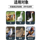 Freeze-dried powder for ducks, chicken, duck and goose diseases, freeze-dried powder, soft foot, lame disease, serositis, anti-viral veterinary breeding medicine, twelve bags, must be selected for repurchase