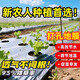 Perforated silver black mulch film, strawberry, garlic, onions, morels, medicinal materials, insulation, weeding, vegetable planting, special black film 5 Jin Jin equals 0.5 kg, black 1.5 meters wide, 140 meters long, no holes