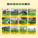 Fake lawn simulated artificial turf plastic green carpet rooftop balcony roof sun room villa courtyard outdoor 2.5cm thickened extra dense spring grass 1.5m wide 25m long shipped in a roll