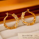 Gold Broken Silver Unique Hoop Earrings Women's Niche Design Light Luxurious Earrings 2025 New Trendy Ear Jewelry 18K Gold 925 Silver Needle Plated