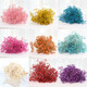 Gypsophila dried flower bouquet preserved flower material cherry blossom powder