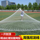 Fishing net, hand-thrown net, old-fashioned pure handmade strong horse line, line fishing net, traditional hand-thrown net, spin net, lead drop catch, 2-finger thickened tire line, line 4 meters high, 8 Jin Jin is equal to 0.5 kg, lead drop type