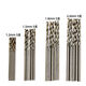 FANCYCHIC0.5-3.2mm high-speed steel straight handle twist drill micro cultural pearl bracelet walnut drilling mini small drill bit 0.5mm twist drill bit (ten pieces in one tube)