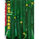 Strong female Jinyan No. 4 cucumber seeds have green flesh, green heart, dense tattoos, yellow seeds, farm cucumber seeds, new seeds this year, 2 packs, about 100 seeds