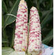 Nationally approved super large stick sweet waxy colorful corn seeds, new varieties of colorful waxy corn seeds, farmers' high-yield corn seeds, nationally approved colorful corn seeds, 1 pack of about 50 grains