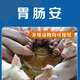 Ruisen veterinary gastrointestinal safety Bacillus subtilis pig, sheep, chicken and duck additive feed additive veterinary drug manufacturer direct sales gastrointestinal safety 50g * 5 bags