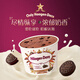 Haagen-Dazs Cocoa Cookie Flavor Ice Cream 100ml/cup Ice Cream