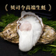 Bassling Fresh Rushan Ecological Oysters 2XL Net weight 4Jin Jin is equal to 0.5kg 13-17 fresh fresh products sent directly from the source for New Year gifts