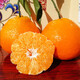 Tian Liang Ji Sichuan Chun Jian Rake Tangerine Gâteau à l'orange fraîche Fruits laids Agrumes séchés Saison fraîche Saison Shiranui Sélection Fruit 丨 Fruit unique super sucré 80-85 mm 5Jin Jin est égal à 0,5 kg Coffret cadeau pour les premiers utilisateurs Poids net 4,5 Jin Jin est égal à 0,5 kg