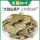 Beijing Tongrentang Chinese medicinal materials Green Qianliu leaves 500g Qingqianliu ancient tree Qianqianliu tea with burdock, corn silk and mulberry leaf tea Qingqianliu 250g