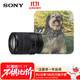 Sony (SONY) E 18-135mm F3.5-5.6 OSS APS-C format medium telephoto zoom lens (SEL18135)