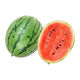National 2k watermelon seeds thin-skin gift small watermelon pearl red watermelon non-split melon early spring ruby watermelon seeds 2K watermelon seeds/pack about 50 pieces 3 packs