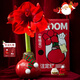 Jingdong Flowers Rich Amaryllis Gift Box Version Wax Ball Circumference 26-28cm Random New Year's Eve Gift Source Straight Hair