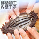 Single ready-to-eat sea cucumber gift box Dalian sea cucumber Dalian specialty sea cucumber thawed ready-to-eat high quality about 8-10cm/piece high quality 30 pieces