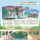 Hello! China Volume 3 (10 volumes in total) Humanities, History and Urban Science National Geographic Treasure China This is a picture book of traditional Chinese cultural knowledge