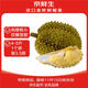Jingxiansheng imported golden pillow durian, net weight 4-5Jin Jin is equal to 0.5kg, 1 pack, fresh fruit, fresh fruit