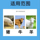 Ruixuan Zhenpin Silly Eater Feed Additive 2.5kg/barrel 5 Jin Jin equals 0.5 kg, 5000 Jin Jin equals 0.5 kg of mixing material, Silly Eat Meng Sleep Long Fatty Zhuang 3 barrels (15 Jin Jin equals 0.5 kg, 15000 Jin Jin equals 0.5 kg of mixing material)