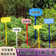 Bevel large ground sign gardening label gardening sign plant sign sign sign 30 bevel mixed color 100 sheets of five colors 20 each