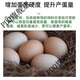 Shell powder feed livestock and poultry high calcium oyster powder chicken, duck, goose, pigeon, quail calcium supplement feed premix additive 2Jin Jin equals 0.5 kg shell powder (small particles)