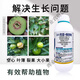 14-Hydroxyprenconazole controls vigorous growth and promotes flower bud differentiation, plant growth regulator pesticide 20g*1 bag