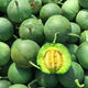 Emerald melon seeds, thin-skinned, super-sweet cantaloupe seeds, spring green-skinned, crispy melons for all seasons, early-maturing, high-yielding cantaloupe seeds, emerald melon seeds/pack, about 100 pieces, 3 packs