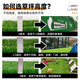 Qingya simulated lawn carpet, fake turf bedding, plastic outdoor artificial court, artificial fence, kindergarten green floor mat, 2 cm, newly upgraded 11-pin encryption, high-quality B-grade model (4 meters wide, 1 meter long) 4 square meters (up to 25m, how long do you need to take a few pieces)