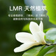 Xiaomi (MI) Mijia Smart Fragrance Machine Set Plant Extract Series Automatic Fragrance Indoor Bathroom Fragrance Fragrance Romantic Colorful Ambience Light Daily Elements Fragrance Liquid 2 Plant Extract Series Osmanthus fragrans