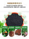 Nitrogen, phosphorus and potassium San'an 19-19-19 mulch Hefei agricultural vegetable gardening household flower green planting fruit tree general fertilizer large quantity consultation