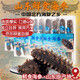 Shandong specialty Q-bomb fresh sea cucumber independently vacuum packed 500g Jingdong 5Jin Jin equals 0.5kg 8-12 heads