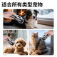 Pet shaver, special shaving foot hair trimmer for cats, cat hair shaving tool, dog clipper, electric hair clipper, standard + nail cover + steel comb + black flat shear
