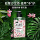 LUX fragrance antibacterial hand sanitizer combination freesia 400g + cherry blossom 400g + verbena 400g