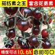 Black Tomato Seeds, Waterfall Tomatoes, Black Pearl Tomatoes, Small Tomato Seeds, Potted Cherry Tomato Fruit Seeds, Black Falls Cherry Tomato Seeds/pack, about 200 capsules, 1 pack