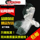 Fishing nets and fishing gear sticky @ wire mesh single layer floating net three layers sinking net hanging sub fishing net crucian carp @ white strip net three limited time single layer 1 finger 8 meters long 0.8 meters high