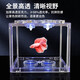 Trendy lifestyle appliances colorful lantern fish tank, fish tank + 1 lantern (comes with colorful stones and aquatic plants)