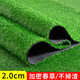 Fake lawn, simulated turf, green carpet, outdoor artificial plastic, artificial bionic outdoor insulation fence, football field, 2.5 cm thickened spring grass, 2 meters wide*4 meters long
