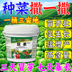 Just when the flowers are blooming, regular original package, small granular urea fertilizer, vegetable nitrogen fertilizer, flower planting fertilizer, fruit and vegetable plant potting general purpose, granular urea 1 barrel, original packaging delivery/10% off for fake ones