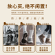 Xiaomi Mijia Smart Shoe Dryer for Dormitory Household Shoes Drying Intelligent Deodorizing, Sterilizing and Quick-drying Artifact Exclusive Model + Dual Antibacterial + Timing + Two-level Adjustment