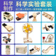 Beijing Yanxuan Elementary School Science and Technology Small Production DIY Handmade Classroom Production Materials Children's Science Experiment Physics Toys Remote Control Paddle Steamer Advanced Edition