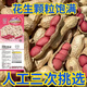 Four corolla red peanut seeds are hand-selected and shelled. Four red-skinned peanuts are large, high yield and high in oil. Purely hand-peeled rice (four corolla) red-skinned peanut seeds. One bag of high-yielding premium peanut seeds. Jin Jin is equal to 0.5 kilograms.