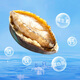 Xiangbin fresh frozen large abalone, net weight 400g (10 pieces) bagged, hot pot, barbecue, braised, soup, seafood, New Year's gift